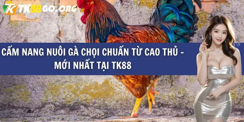 Hướng dẫn nạp và rút tiền Sking88 - Sking88