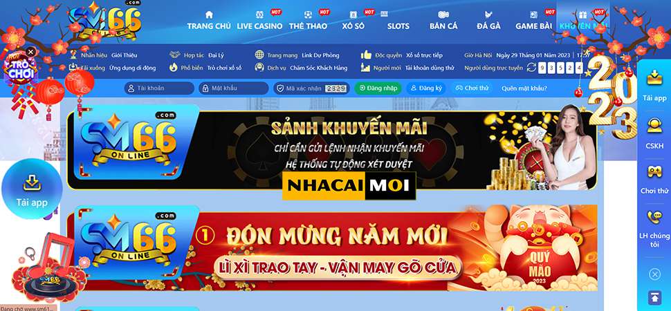 Dk8 Bet cũng coi trọng các khía cạnh khác - Dk8