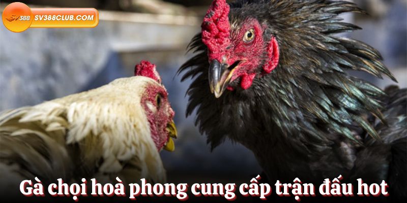 Cảnh báo trang web lừa đảo Vivu88 - Vivu88