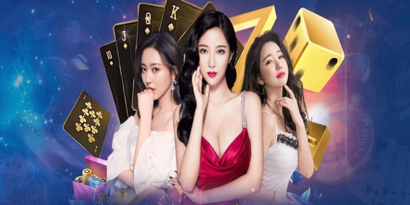 Cá cược các trận đá gà cấp 13Win rất đơn giản và tiện lợi - 13Win