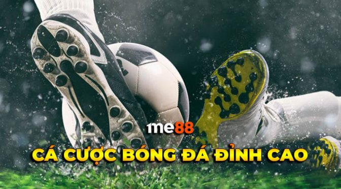 Trở thành nhà phân phối Fm88 và tận hưởng những ưu đãi độc quyền - Fm88