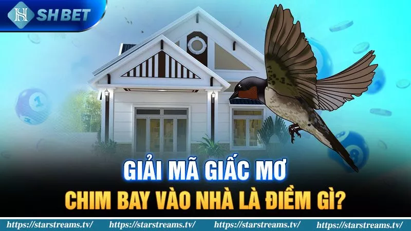 Các nhà phân phối thẻ game cấp P3bet có uy tín đến mức nào? - P3bet
