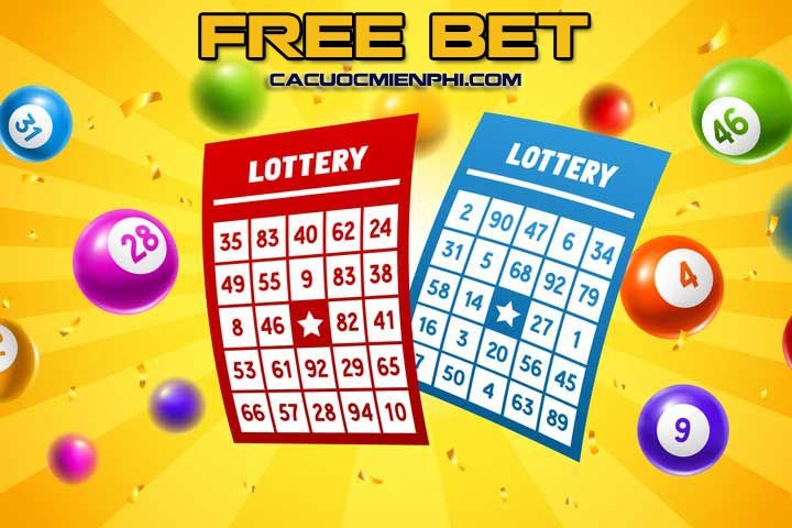 Ưu điểm của đá gà trực tuyến cấp 8Day - 8Day