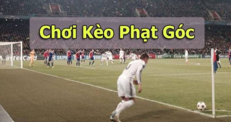 Tổng quan về phương pháp sạc nhanh K88 - K88