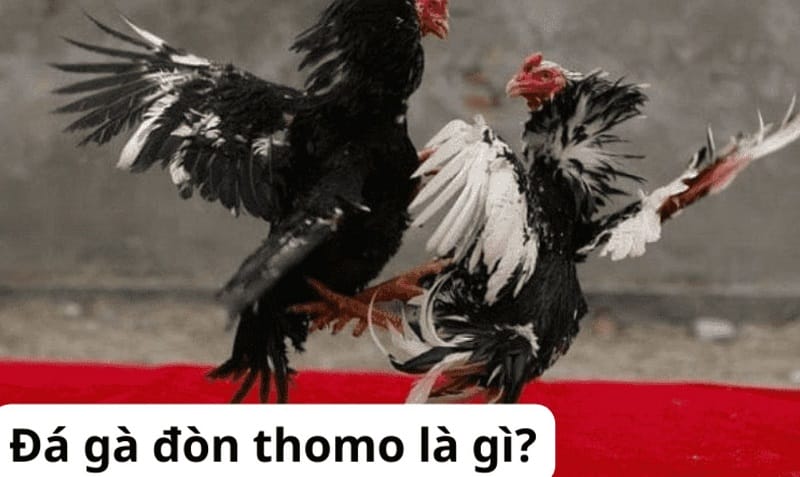 Tìm hiểu thêm về trang web của Hl8 - Hl8