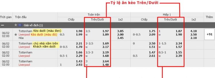 Các sản phẩm cá cược độc đáo của Dk8 Gaming - Dk8