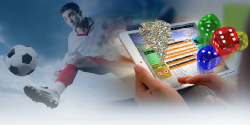 Chính sách D9bet của đại lý nổi tiếng - D9bet