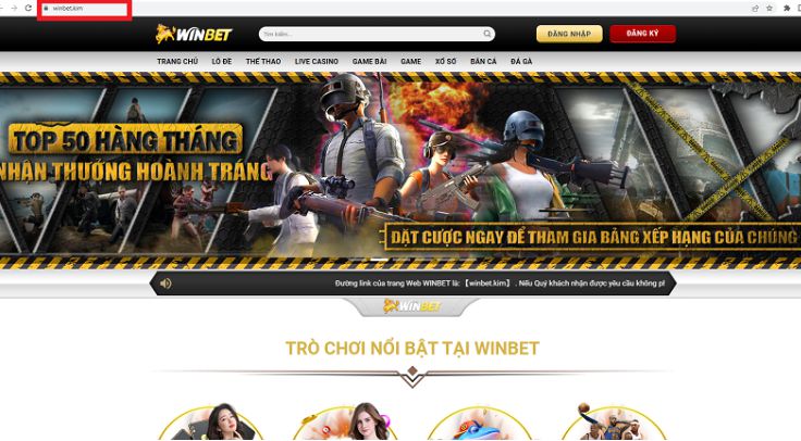 Liệt kê các sản phẩm trực tuyến hấp dẫn nhất ở hạng Gowin - Gowin