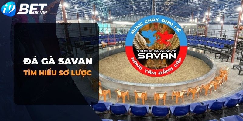 68Game là một thành công thực sự; nó đã mang lại những lợi ích thiết thực - 68Game